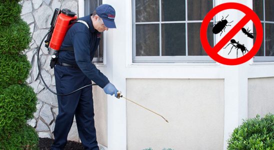 Gökçeada Gümüşkurt İlaçlama böcek ilaçlama ve haşere kontrolü — ilaclama-tr.com